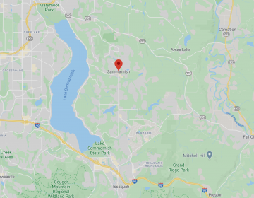 Issaquah Home Remodeling Contractor